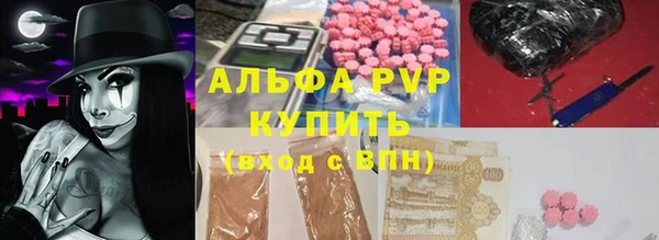 прущие грибы Волосово