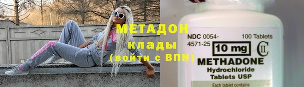 прущие грибы Волосово