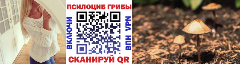 mega зеркало  Архангельск  Псилоцибиновые грибы Magic Shrooms 